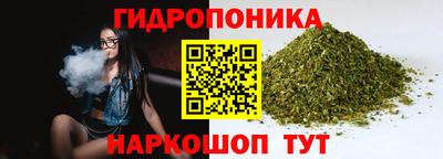 крисы Будённовск