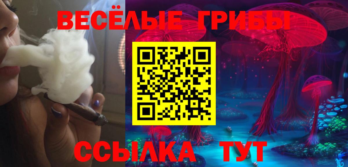 продажа наркотиков  Вход с VPN  Копейск  Галлюциногенные грибы Cubensis 